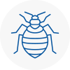 Bed Bug Extermination In South Kensington