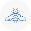 Bee Nest Removal South Kensington