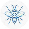 South Kensington Hornet Nest Removals