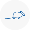 Mice Exterminators In South Kensington
