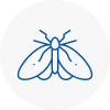 Moth Control Specialists In South Kensington