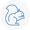 South Kensington Rodent Removals